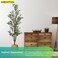 MEKITON Artificial Olive Tree &ndash; 150cm Tall Faux Tropical Plant with Natural-Looking Green Leaves &ndash; Indoor Fake Palm Tree for Home, Office &amp; Living Room D&eacute;cor &ndash; No Maintenance, Realistic Look