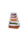 USA Rectangular Food Storage Box Set   5 Sizes: 0.24L, 0.5L, 1.0L, 1.5L, 2.5L   Leak-Proof Lids   Stackable &amp; Space-Saving