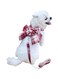 2pcs Plaid Dog Harness &amp; Leash Set Bow Dog Harness Vest Walking Training Easy Control Dog Leash for Small Medium Girls Dogs Cats Puppy (Wine Red, XS)