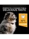 Purina Pro Plan Medium Puppy Food With Chicken -12kg