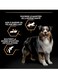 Purina Pro Plan Medium Adult Dog Food Chicken - 14kg