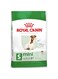 Royal Canin Shn Mini Adult 8+ 2 Kg Size Health Nutrition Dog Food, Multicolor, 02RCMM+82, Mini Adult 8+ Dog Dry Food