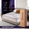 Total Comfort Wellington Mattress   25cm Thick   Euro Top   3-Zone Pocket Springs   Motion Isolation   No-Turn Design   Small Single, Single, Double, Queen, King, Super King (Queen 150x200x25 cm)