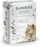 Bloomies Premium Baby Diaper Pants Size 4, 9-14kg, 22 Count, Wetness Indicator Eco-friendly And Hypoallergenic Ultra-Soft Nappy Diapers Pant Skin Friendly, Leakage Protection, Natural Bamboo Made