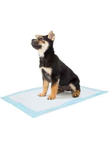 Mumoo Bear Puppy Training Pads For Dog Pet Pee Absorbent Toilet Wee Mat Anti Slip Leakproof (50Pack-60 * 45cm)