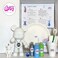 DIY Fluid Acrylic Pouring Paint Cool-Bear 23cm Piggy Bank Kit + Toy Keychain and Glitter: Light-Blue, Green, Silver.