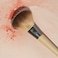 EcoTools Precision Blush Makeup Brush