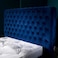 Cozy Cuddle Tufted Upholstered Queen Size Bed (160 X 190 CM) Blue Color