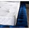 Cozy Cuddle Tufted Upholstered Queen Size Bed (160 X 190 CM) Blue Color