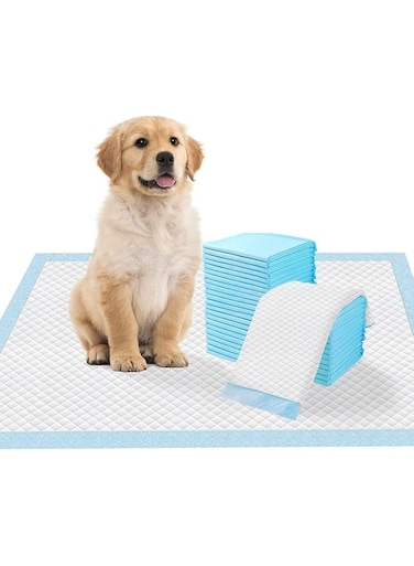 FDTY 50 Pieces Disposable Absorbent Quick Drying Leak-Proof Pee Pads For Potty Training For Pets(45X60cm)