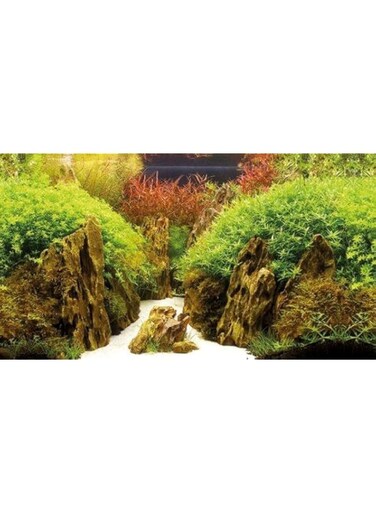 Hobby Photo Back Cut Canyon/Woodland