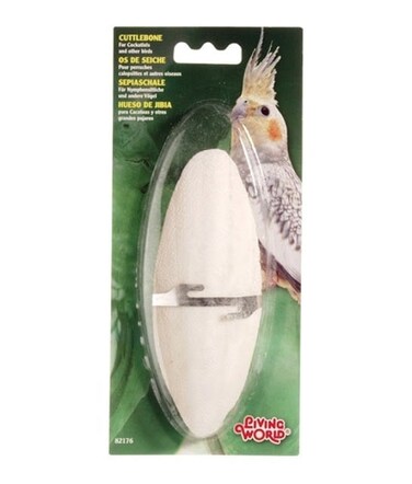 Living World Cuttlebone White Large