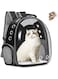 BRKT Pet Carrier Backpack   Cat and Puppies Portable Bubble Bag  Transparent and Breathable Pet Carrier Airline Approved   Suitable for Travel, Hiking and Outdoor Use (Black)