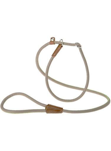 Ferplast Derby DERBY half choke lead GC10 / 160 green dog training lead lead walk Goods walk supplies going out for a walk Goods