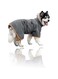 Sweet seven Dog Drying Coat - Microfiber Towel Robe for Fast Pet Bathrobe, Adjustable Collar and belly Strap, Super Absorbent Dog Bag (Grey, Medium)