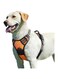 Bolivia's Dog Harness, Adjustable Reflective Oxford Soft Vest for Dog, No Pull Walking Pet Harness with 2 Metal Rings and Handle, Easy Control Front Clip Harness for Small Medium Large Dogs (L)