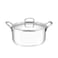 VINOD Smart Triply Stainless Steel Casserole with Lid, 20 cm Diameter, 3.5 Liter Capacity, Induction and Gas Stove Compatible, VTC020