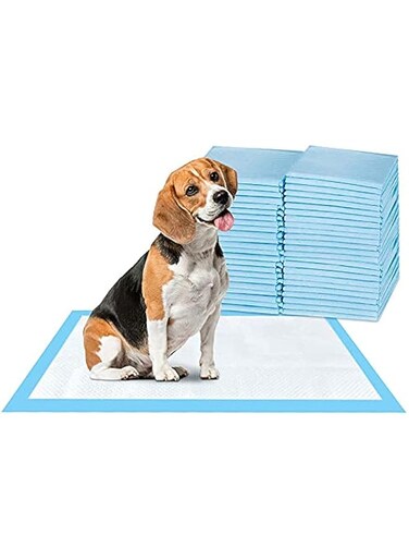 Dog Pee Pad, 100 Pieces 45x60cm Puppy Potty Training Pet Pads Puppy Pee Pads Disposable Absorbent Leak-Proof Quick Drying Dog Pads Super Absorbent &amp; Leak-Free Pee Pads, M (Normal -100PCS--60*45)