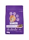 Iams Cat Food, Cat Dry Food for Mother and Kitten 1Kg, Cat Food Proactive Health, Complete and Balanced Nutrition