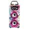 TrendIX Party Edition Karaoke Speaker and Microphones