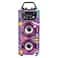 TrendIX Top Singer Karaoke Speaker and Microphones