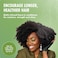 Mielle Organics Rosemary Mint Strengthening Leave-In Conditioner, Supports Hair Strength, Smooth Conditioner For Dry And Crinkled Hair, Weightless Hair Treatment