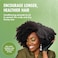 Mielle Organics Rosemary Mint Strengthening Pomade-To-Oil Scalp &amp; Hair Quencher 142g, Nourishes, Conditions &amp; Add Shine