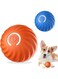 2 Pack Interactive Dog Toys Dog Ball,with 2 smart modes Automatic Rolling Ball Toys for,New Electric Intelligent Teasing Dog Ball,Rolling Ball Toys for/Small/Medium/Large Dogs,USB Rechargeable