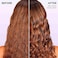 بلسم لوريال باريس المرطب الخالي من الكبريتات، للعناية بالشعر المصبوغ بخلاصة إكليل الجبل، إيفر بيور، 8.5 أونصة سائلة