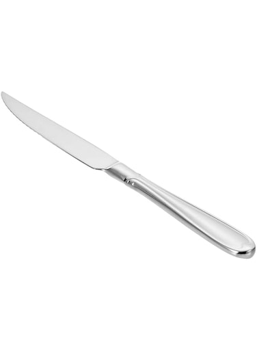 Winsor Stainless Steel 18/10 Steak Knife Proud,Silver
