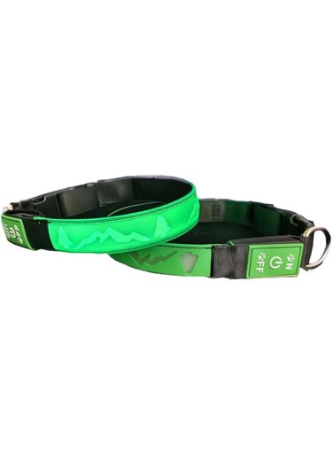 Azonee Flashing USB-C LED Light Up Dog Collar, 3D Design, Comfortable &amp; Adjustable, Multicolored Lighting, TRE-Green, 15.7" - 19.7