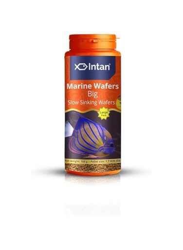 Growel Intan Marine Wafers (Big 1.7mm Slowly Sinking)   160gm - Highly Nutritious Ornamental Fish Food for Marine Angels, Clownfish, Royal Gramma &amp; Clown Trigger