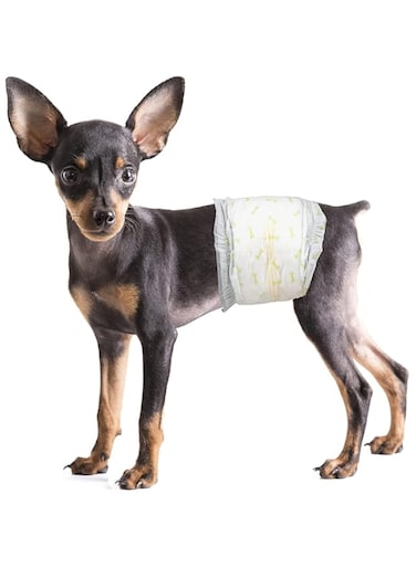Mumoo Bear Disposable Dog Puppy Nappies Male - Super Absorbent Male Dog Incontinence Wraps (S)