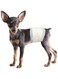 Mumoo Bear Disposable Dog Puppy Nappies Male - Super Absorbent Male Dog Incontinence Wraps (S)