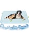 2024 Upgraded Dog Cooling Mat, 100x70cm Washable Ice Silk Self Cool Pad for Small Medium Large and Large Dogs and Cats, Portable Non-Slip Pet Bed for Summer or Hot Days Sleeping (Solid Light Blue)
