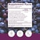 Reserveage Nutrition Beauty Resveratrol 500Mg, 4- Hours Sustained Release Trans-Resveratrol, For Intensive Pro-Longevity Cellular Protection, Gluten Free, Vegan, 60 Veggie Capsules