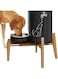 ZPirates Dog Food and Water Dispenser Stand - Fits Small Dispensers with 8-inch Base and up to 12-inch Horizontal Lenght