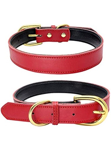 Leather Collar for Small Dogs, Soft Touch Padded Thick Gold Buckle Durable Pet Cat Collars Adjustable for Puppy Medium Dogs (Red, S/37 * 1.5CM)