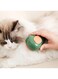 Avocado Steamy Cat Brush With Steam 3 in1 Cat Steam Brush For Pet Massage,Bath and Fur Hair Remover