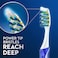 Oral-B Pro-Expert Pulsar Deep Clean 35 Medium Toothbrush, Assorted Pack of 1's