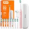 Bitvae Electric Toothbrush for Adults - Ultrasonic Electric Toothbrushes with 8 Brush Heads, toothbrush with tips set and travel case D2 (Pink)