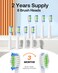 Bitvae D2 Sonic Electric Toothbrush for Adults, 40000 VPM Automatic Toothbrush, 5 Cleaning Modes, 8 Brush Heads, 60-Day Battery, IPX7 Waterproof, Travel Case (White)