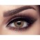BELLA ELITE WILD HONEY-1.00