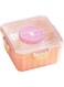 Jsofd Bento Lunch Box Salad Lunch Box Leak-proof Food Storage Container Microwave Safe Meal Prep Container with Food Grade Spoon (Pink)