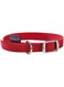 Bobby Flex Cat Collar - Red