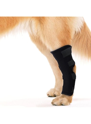 Dog Leg Braces for Back Leg Canine Rear Leg Hock Joint Wrap Protects for Dogs with Torn Acl, Sprain Protection and Wound Healing Suitable for Small Medium Large Dogs (Black, M)