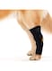 Dog Leg Braces for Back Leg Canine Rear Leg Hock Joint Wrap Protects for Dogs with Torn Acl, Sprain Protection and Wound Healing Suitable for Small Medium Large Dogs (Black, M)