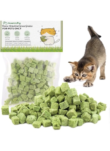 Havenfly Cat Grass Treats for Cat, 60g Natural Dried Snacks for Cats, Edible Cat Chew Toys, Kitten Treats for Cleaning Teeth Remove Hair Ball