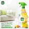 Dettol All Purpose Cleaner Spray Bottle, Lemon Scent, 500ml