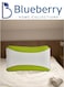 Aloe Vera Infused Memory Foam Pillow   Hypoallergenic &amp; Breathable   Removable cover - 60x40x12cm